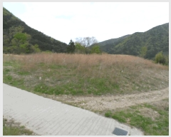  2025Ÿ��32312 ���� �强�� �强�� ������ 140-2      ����(����)���