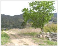  2025Ÿ��32312 ���� �强�� �强�� ������ 140-2      ����(����)���