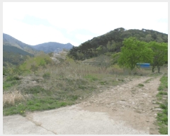  2025Ÿ��32312 ���� �强�� �强�� ������ 140-2      ����(����)���