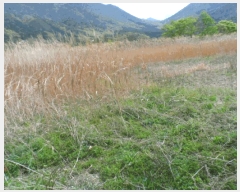  2025Ÿ��32312 ���� �强�� �强�� ������ 140-2      ����(����)���