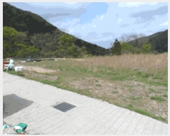  2025Ÿ��32312 ���� �强�� �强�� ������ 140-2      ����(����)���