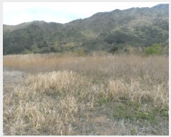  2025Ÿ��32312 ���� �强�� �强�� ������ 140-2      ����(����)���