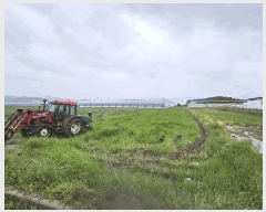  2025Ÿ��32681  ����