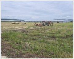  2025Ÿ��32681  ����