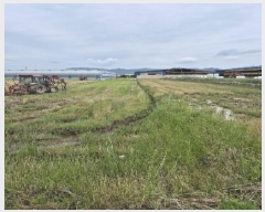  2025Ÿ��32681  ����