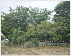  2025Ÿ��32706  �����