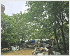  2025Ÿ��32706  �����