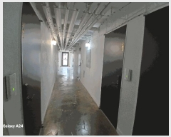  2025Ÿ��32781  ���ڽü����