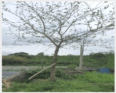  2025Ÿ��32804  �������