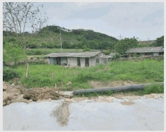  2025Ÿ��32804  �������