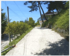  2025Ÿ��32867 ���� ��籺 ����� �е��� 543-2      ����(�Ӿ�)���