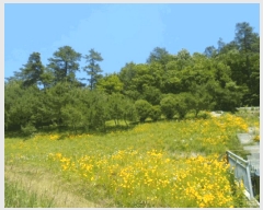  2025Ÿ��32867 ���� ��籺 ����� �е��� 543-2      ����(�Ӿ�)���