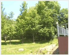  2025Ÿ��32867 ���� ��籺 ����� �е��� 543-2      ����(�Ӿ�)���