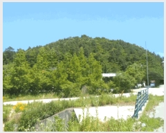  2025Ÿ��32867 ���� ��籺 ����� �е��� 543-2      ����(�Ӿ�)���