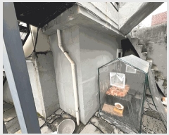  2025Ÿ��33042  ���ð��