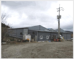  2025Ÿ��250  â�����