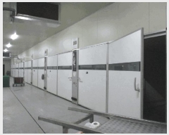  2025Ÿ��250  â�����