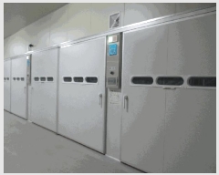  2025Ÿ��250  â�����