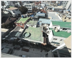  2025Ÿ��315  �ٸ����ð��