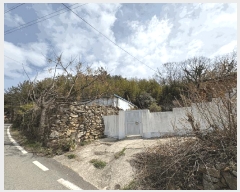  2025Ÿ328  ȱ û û踮 68      (Ӿ)