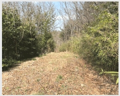  2025Ÿ328  ȱ û û踮 68      (Ӿ)