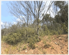  2025Ÿ328  ȱ û û踮 68      (Ӿ)