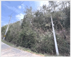  2025Ÿ328  ȱ û û踮 68      (Ӿ)