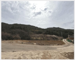  2025Ÿ328  ȱ û û踮 68      (Ӿ)