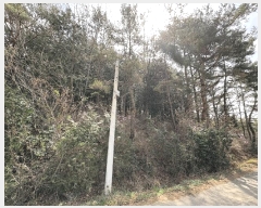  2025Ÿ328  ȱ û û踮 68      (Ӿ)