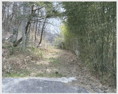  2025Ÿ328  ȱ û û踮 68      (Ӿ)