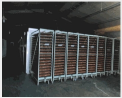  2025Ÿ��359 ���� ���ȱ� û��� û���� 553-27      ���(�󰡽ü�)���