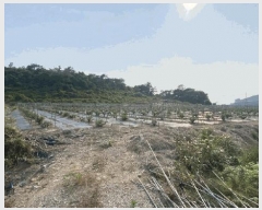  2025Ÿ��361 ���� ���ϱ� ��ȣ�� ��ȣ�� 192-3      ����(��1)���