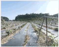  2025Ÿ��361 ���� ���ϱ� ��ȣ�� ��ȣ�� 192-3      ����(��1)���