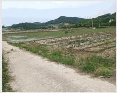  2025Ÿ386  žȱ   1206-6      ()