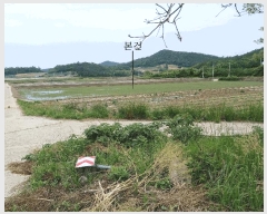  2025Ÿ386  žȱ   1206-6      ()