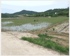  2025Ÿ386  žȱ   1206-6      ()