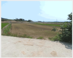  2025Ÿ��406 ���� ���ȱ� ������ �ۼ��� 504-4      ���Ű��