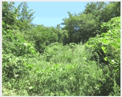  2025Ÿ��462 ���� �žȱ� ���¸� ���� 1024      ����(��)���