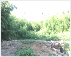  2025Ÿ��462 ���� �žȱ� ���¸� ���� 1024      ����(��)���