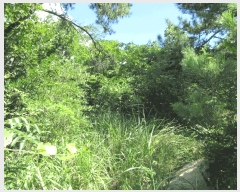  2025Ÿ��462 ���� �žȱ� ���¸� ���� 1024      ����(��)���