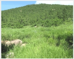  2025Ÿ��462 ���� �žȱ� ���¸� ���� 1024      ����(��)���