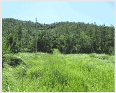  2025Ÿ��462 ���� �žȱ� ���¸� ���� 1024      ����(��)���