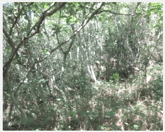  2025Ÿ��462 ���� �žȱ� ���¸� ���� 1024      ����(��)���