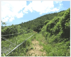  2025Ÿ��462 ���� �žȱ� ���¸� ���� 1024      ����(��)���