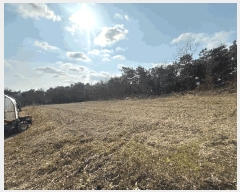  2025Ÿ50858  ϱ ȣ 긮 646-20      ()