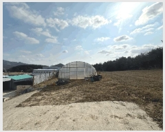  2025Ÿ50858  ϱ ȣ 긮 646-20      ()