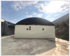  2025Ÿ50858  ϱ ȣ 긮 646-20      ()