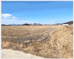  2025Ÿ��50879 ���� �žȱ� ������ ������ 1769-1      ����(��)���