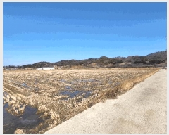  2025Ÿ��50879 ���� �žȱ� ������ ������ 1769-1      ����(��)���