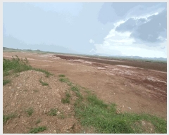  2025Ÿ50886  ϱ ȣ  1412-1      ()